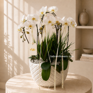 مجموعه ارکیده ۴ عددی