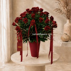 استند رز ۵۰ عددی