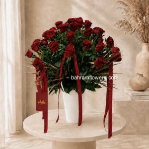 استند رز ۵۰ عددی