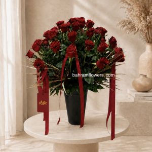 استند رز ۵۰ عددی