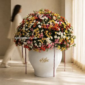 مجموعه رز مینیاتور رنگی