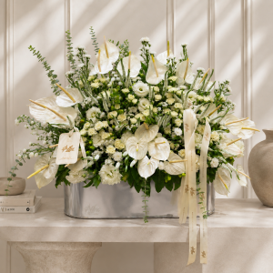 باکس نقره ای