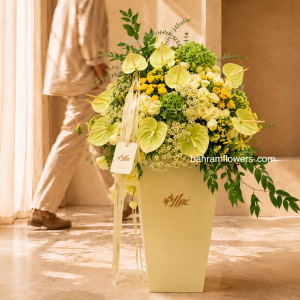 باکس لیمویی